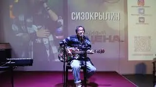 Сизокрылин