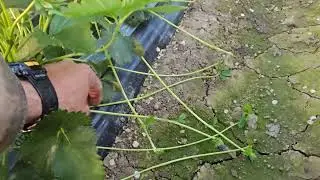Скоро начнётся.
