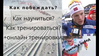 Как Claebo побеждает на лыжне. Тактические уроки.