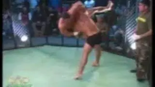 Awsome MMA Karate Fights