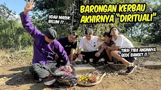 THE BUFFALO BARONGAN IS FINALLY 