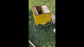 Собираем новый улей для пчёл