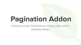 Envira Gallery Pagination Addon