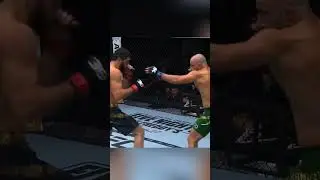 сходил на рыбалку #ufc #приколы #mma #рыбалка