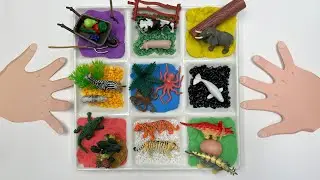 9 Mini Diorama For Animals Dinosaurs Sea Animals