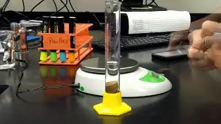 Experimental Determination of the Density of Pennies - Mr Pauller