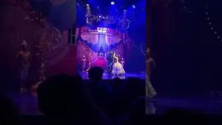 pov: you’re watching the most magical show at disneyland paris ✨ #mickeyandthemagician #dlp