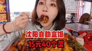 It’s the first time for southerner to eat Northeastern self-service box lunch,40dishes for 15 yuan!