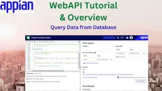 WebAPI Tutorial and Overview | Get Data from Database using API | Appian Tutorial