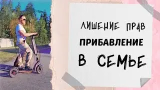лишение прав / новый член семьи