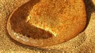 Waterproof Sand | ZapRoot