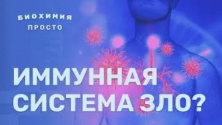 Иммунная система ЗЛО? Биохимия ПРОСТО. Омоложение через подавление иммунитета? МитоХондра и я!