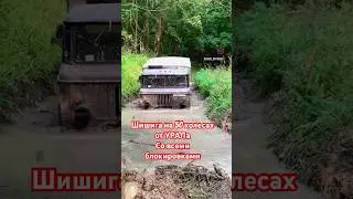 #Газ66