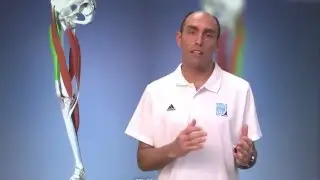 22 Diagnóstico y tratamiento de las lesiones musculares