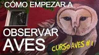 CÓMO EMPEZAR A OBSERVAR AVES - CURSO AVES #1