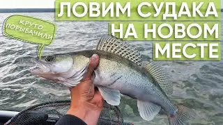 ПОИСКИ СУДАКА НА НОВОМ МЕСТЕ | Рыбалка на Оби 2021