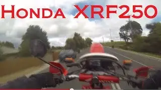 XR250 vlog!?