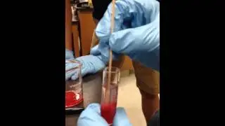 DNA extract from Strawberries