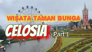 Wisata taman bunga CELOSIA SEMARANG