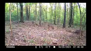 Should Have Been in My Stand