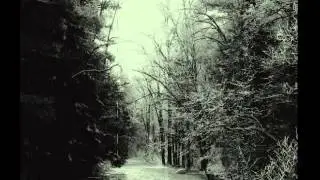 Grizzly Bear-Service Bell