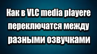 Как в VLC media playerе переключатся между разными озвучками, дорожками