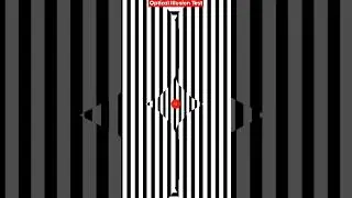Optical Illusions 😯😍😇