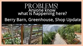 Garden Shop Update