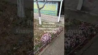 #зоомагазин #зоомагазинкотлео