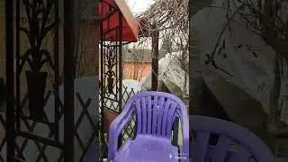 Уборка кухни и возле Дачи 