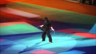 Festival des arts martiaux Paris, bercy 2011 Nunchaku artistique