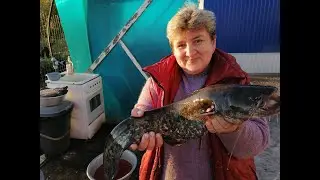 Рыбалка.  Сом, щука, карп и карасик.