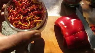 перец на зиму сушеный  как высушить сладкий перец  за 1 день