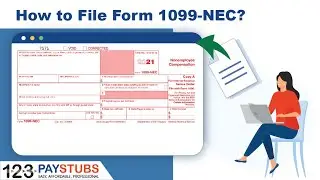 How to File Form 1099 NEC for 2020 Tax Year? | 123PayStubs