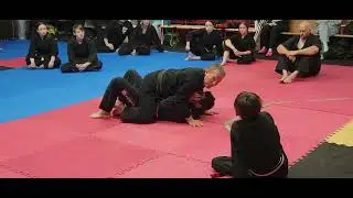 Mount Escape Against Punches - Jamie Seabrook Seminar