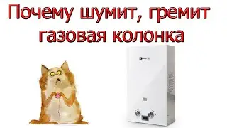 Почему шумит стучит газовая колонка