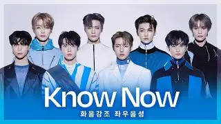 🎵  NCT U - Know Now (화음강조 좌우음성)