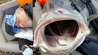 kano ile dev kuzu rekor 21.350 kg