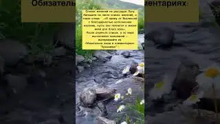 Исполни #желание на #солнцестояние и #полнолуние 🌟 #магия #обрядыритуалы #денежнаямагия #желания
