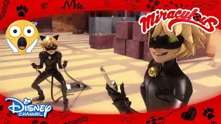 Mucize: Uğur Böceği ile Kara Kedi I Kara Kedi'nin Taklitçisi I Disney Türkiye