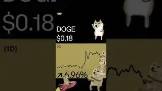DOGE coin 