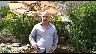 כך נראית בריכת נוי יפיפייה המתוחזקת באופן מקצועי