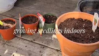 Seed Starting Indoors | Beginners Green Thumb Vlog