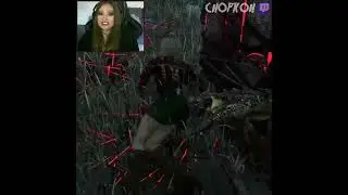 I ❤️ Pallet Camping | Dead by Daylight 