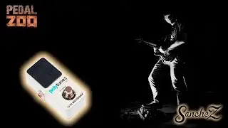 SancheZ & PedalZoo. TC Electronic Polytune 2 mini Review