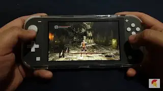 Dark Souls Remastered On Nintendo Switch Lite