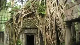 The Jungle Temple at Angkor Wat, Cambodia