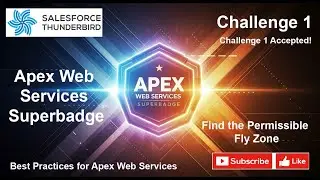 Apex Web Services Superbadge | Challenge 1