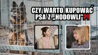 CZY WARTO KUPOWAĆ PSA Z „HODOWLI”? - ROZMOWA Z KATARZYNĄ SZAKOWSKĄ Z EKOSTRAŻY