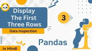 Display the First Three Rows | Data Inspection | Pandas Data Structures | #pandas #python #leetcode
